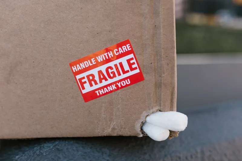 Speed Kills Packaging: The Hidden Damage Toll of Compressed Delivery Timelines